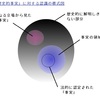 部分否定再録＆MMTについての会話など