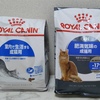 【食欲不振・嘔吐】猫がご飯を食べない時の対処