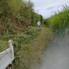 親戚の依頼で草刈りを無料でしてあげる