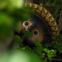 写真＆カメラ＆旅