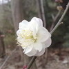 12:18:45 昨日いくらやっても出...