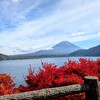 <山梨県南巨摩郡>🍁旧千円札の富士山モデル地!富士五湖編①本栖湖