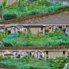 畑のものとか