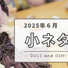 【日記】2025年6月の「ドル活・推し活」小ネタまとめ
