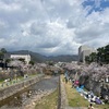 わたしという個はいまここにしか存在しない