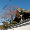 雨のち晴れ、煌きの海沿いを走る。