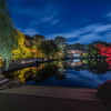 徳川園、、来年もう一度、、