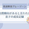 【発達障害グレーゾーン】自閉傾向があると言われた4歳息子｜成長を振り返る