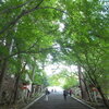 京都の紅葉　嵐山エリアの大悲閣千光寺