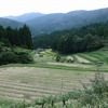 滋賀県）畑の棚田