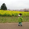 桜・菜の花・久留米絣・・・