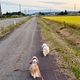 今日から10月