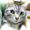 ＮＴＴ東日本と西日本に通信障害、、、