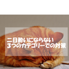 「二日酔いにならないための飲む前、飲んでいる時、飲んだ後の３つの対策」