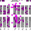  マップ画面のバグ