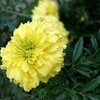 今年一番・・