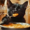 はたらくくろねこ。