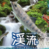 ふれあい科学館『 渓流の生き物 特別展示』3・9まで開催！(2025/1/26)