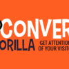 Conversion Gorilla Review