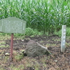 松が茶屋跡（群馬県吾妻郡高山村）