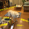 おかげさまで