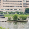なつかしの信州旅（16）： 諏訪湖散策（長野県諏訪市）