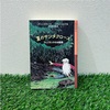 🎄クリスマスのアドベントシーズンに読みたい本🎄サンタクロースの故郷フィンランドのお話集『夏のサンタクロース』