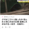 【全国的に頻発するクマ被害について……5／7－9　山菜採り中70代男性がクマに襲われ大ケガ、秋田県今季初の人への被害】＃390