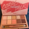 やっと購入【CLIO】アイシャドウパレット！Coral Talk！