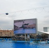 <span itemprop="headline">名古屋港水族館2、イルカショー</span>