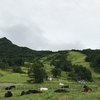 沈黙の春