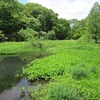 神代植物公園_水生（東京都調布市）