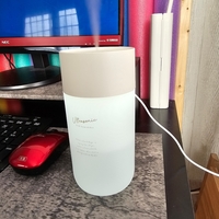 国内の女性、国外の女性