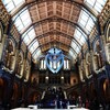 中年男性がロンドン自然史博物館とロンドン冬の風物詩Winter Wonderland行ったよ、ひとりで。