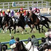 2018エリザベス女王杯・メルボルンカップデータ予想