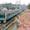 河津桜をバックに走る常磐線緩行電車