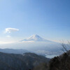 御坂山塊  (御坂峠〜清八山〜本社ケ丸)