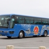 沖縄バス / 沖縄22き ・511