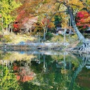 三河湖バンガロー村　ふる里の日常