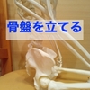 骨盤を立てる
