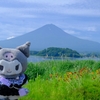 sakeの歩窓から（花の都公園とぬい撮りと思い出やら）