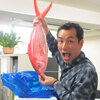 吉方位から高級魚到着