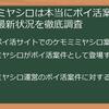 【徹底比較】ケモミミヤシロでポイ活は可能？類似ゲーム案件と効率的な稼ぎ方＆注意点を完全網羅！