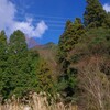 矢坪ヶ岳（岐阜県美濃市）、雨の後の山は怖い
