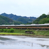 特急しなの3号G編成・EF64 1031単機