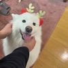 クリスマス飾り