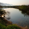洞用水東の池（仮称）（岐阜県岐阜）