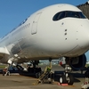 【搭乗記】JAL/JL0491(東京羽田/高知)