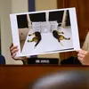 ファウチ博士のNIAIDが残酷なビーグル実験を隠蔽するために嘘をついていたことをバイデン政権が知っていたことを示唆する情報公開文書