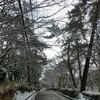トレイルライド#212（スノーライド）　2017/01/15